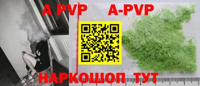 герыч Кингисепп