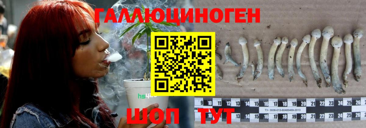 Псилоцибиновые грибы Magic Shrooms Вологда
